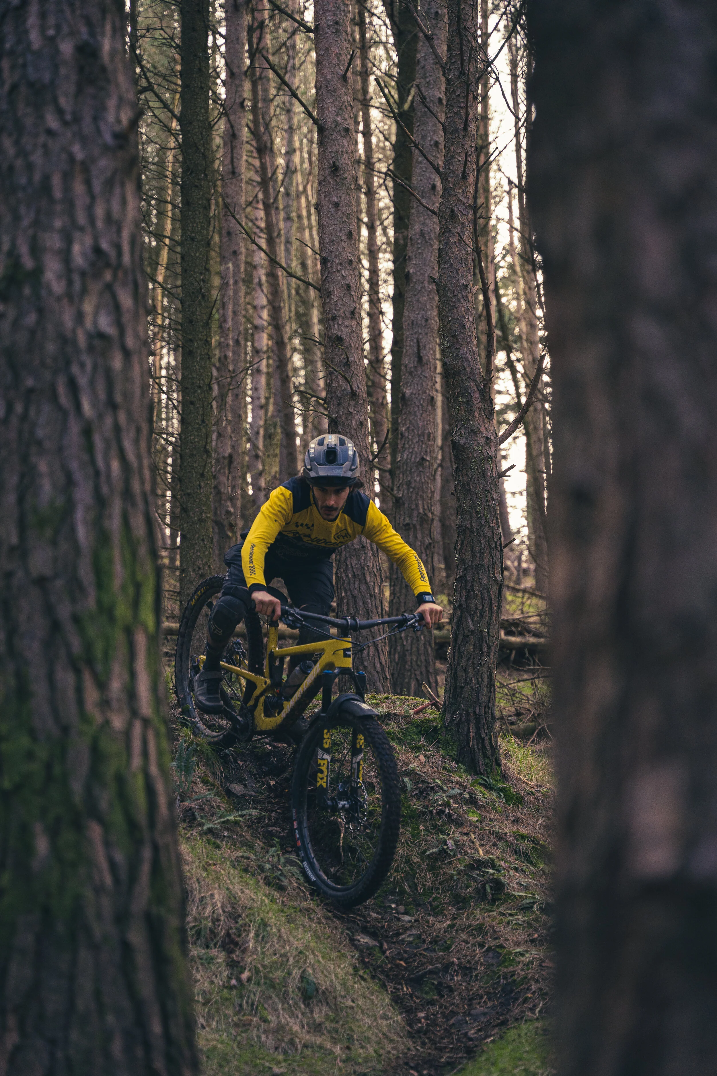 Tour of Gnar - 29th of November (ROI)