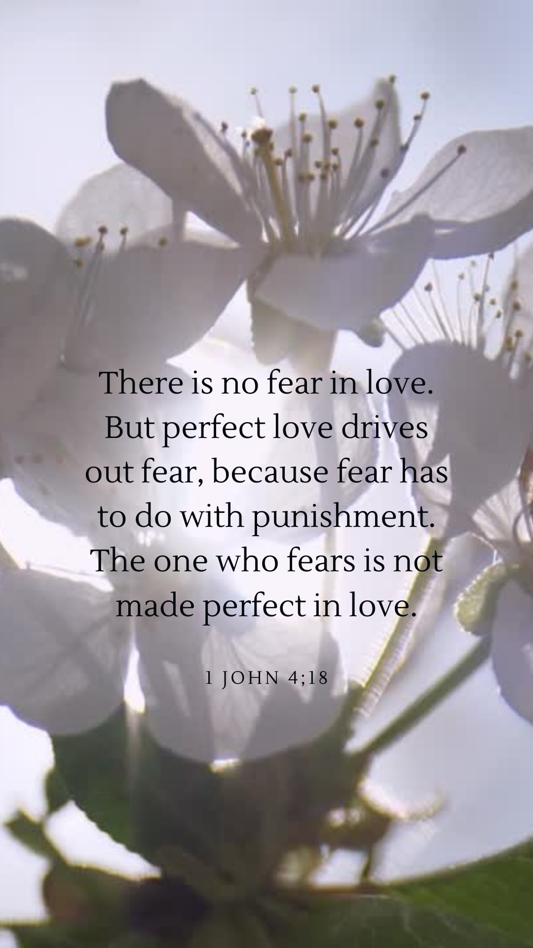 There is no fear in love. But perfect love drives out fear, because fear has to do with punishment. The one who fears is not made perfect in love..png
