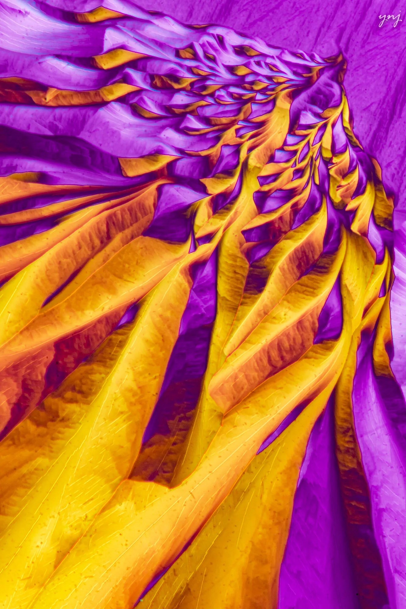 Silk