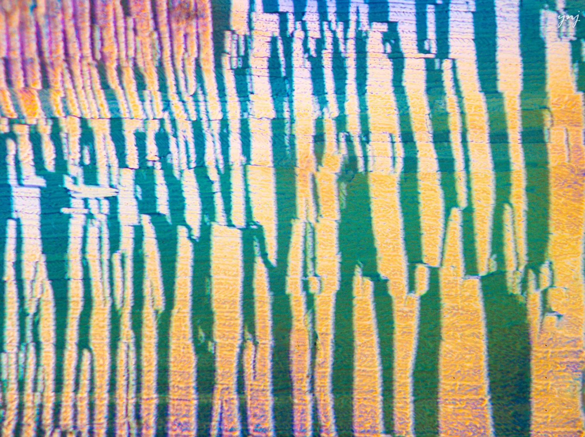 Y2300480_ltr_flr.jpg