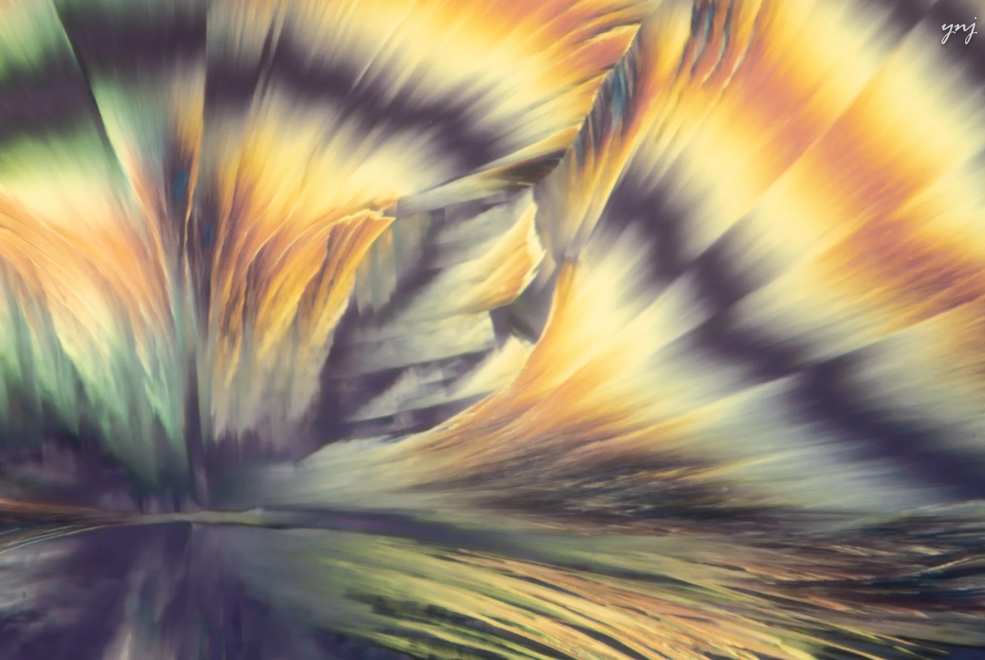 Y2301672_ltr_flr.jpg