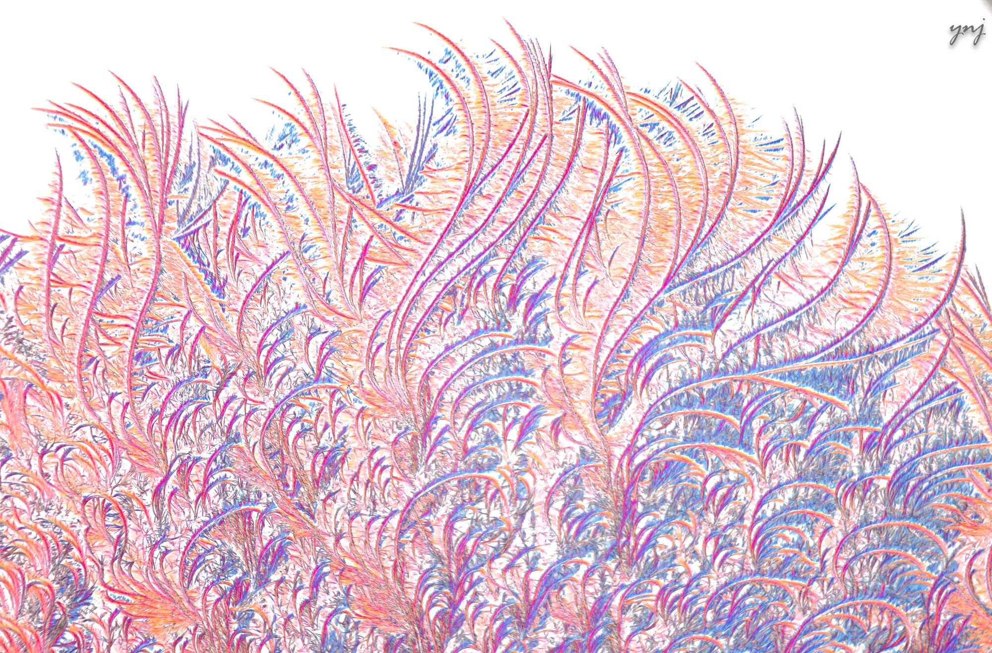 Y2302441_ltr_flr.jpg