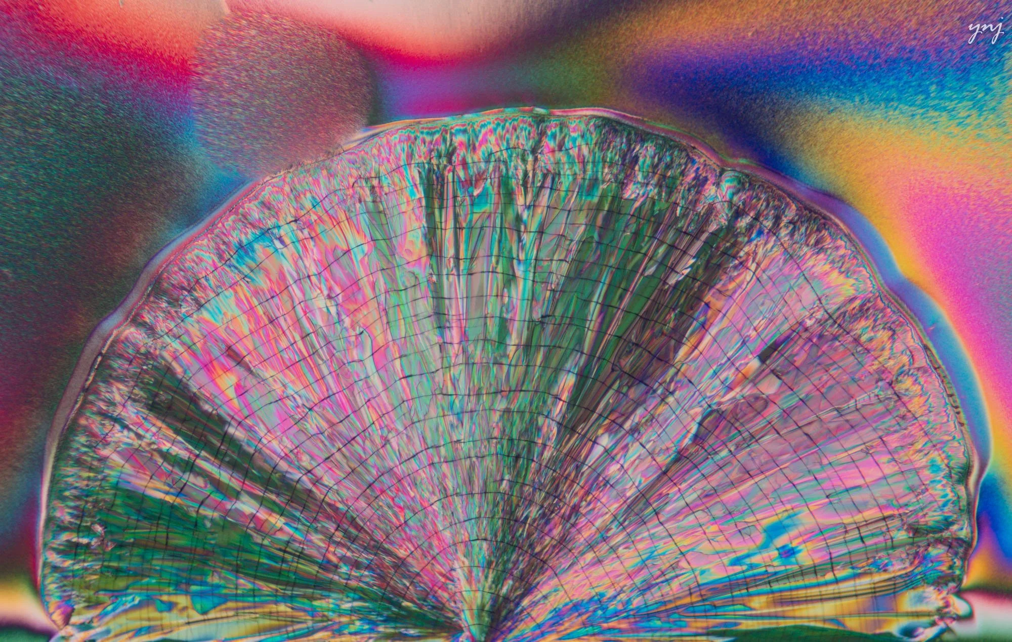 Y2301571_ltr_flr.jpg