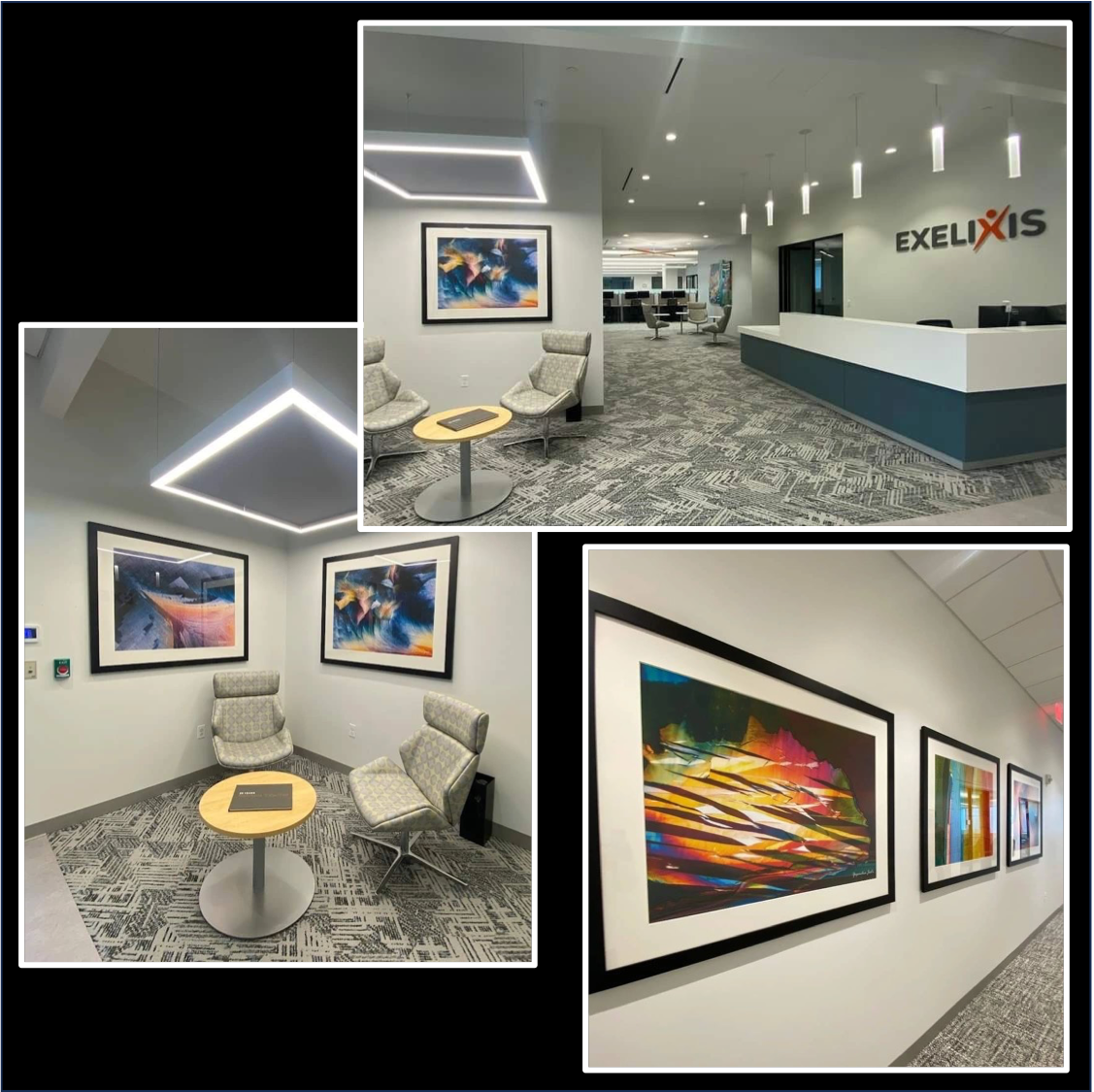 Exelixis Biotechnology Research entire office interior with Art with Chemistry images