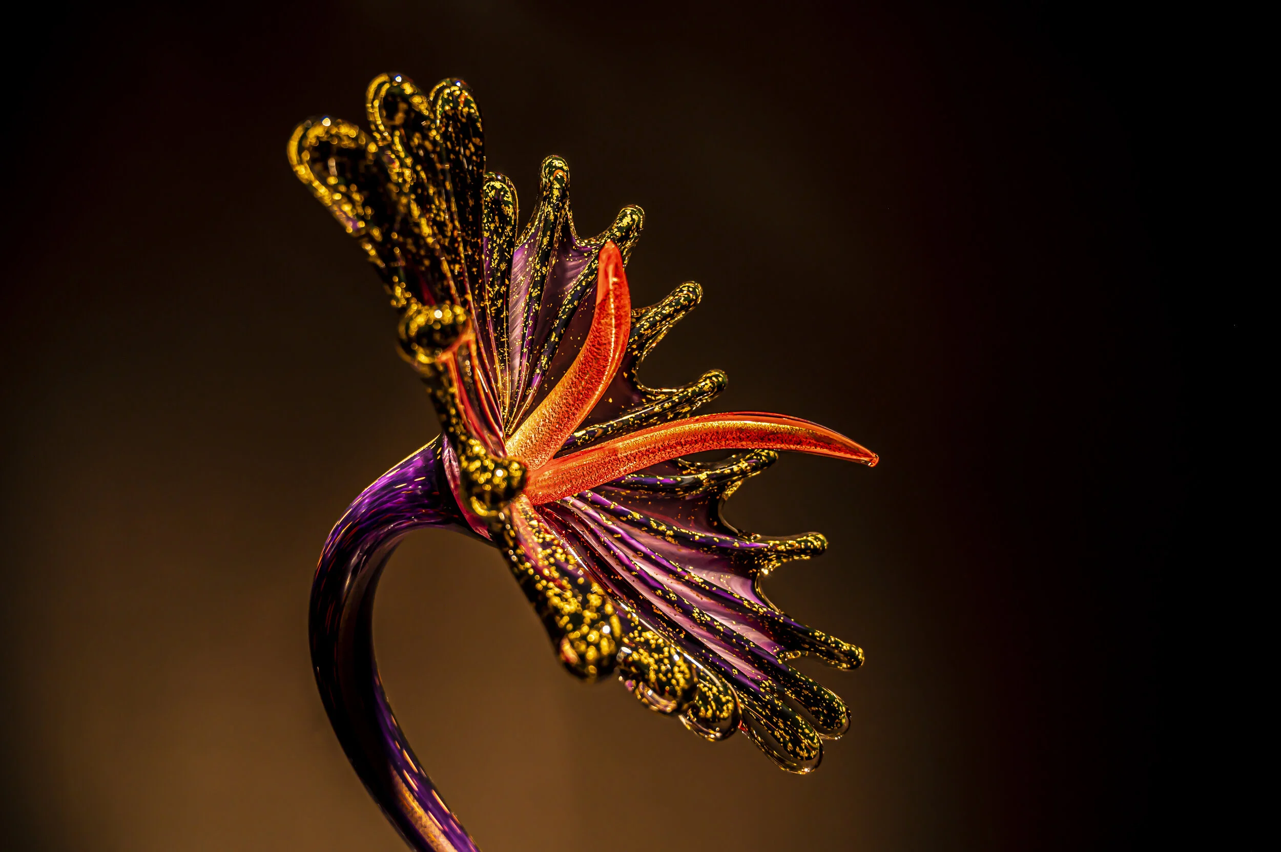 Photo of: Glass sculpture by Dale Chihuly