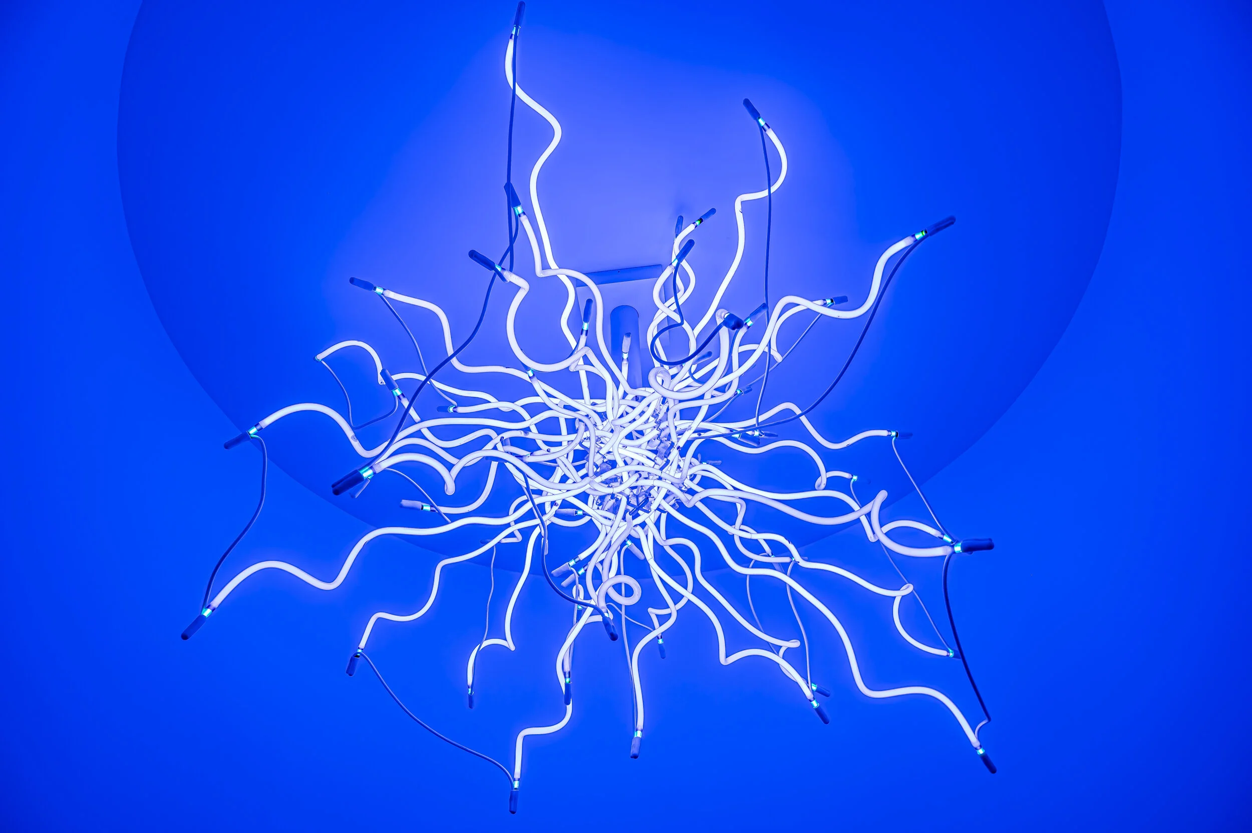 A neon light fixture graces the ceiling in a corner installation in the Chihuly Collection via Morean Arts in St. Petersburg, FL.
Edit

Share

