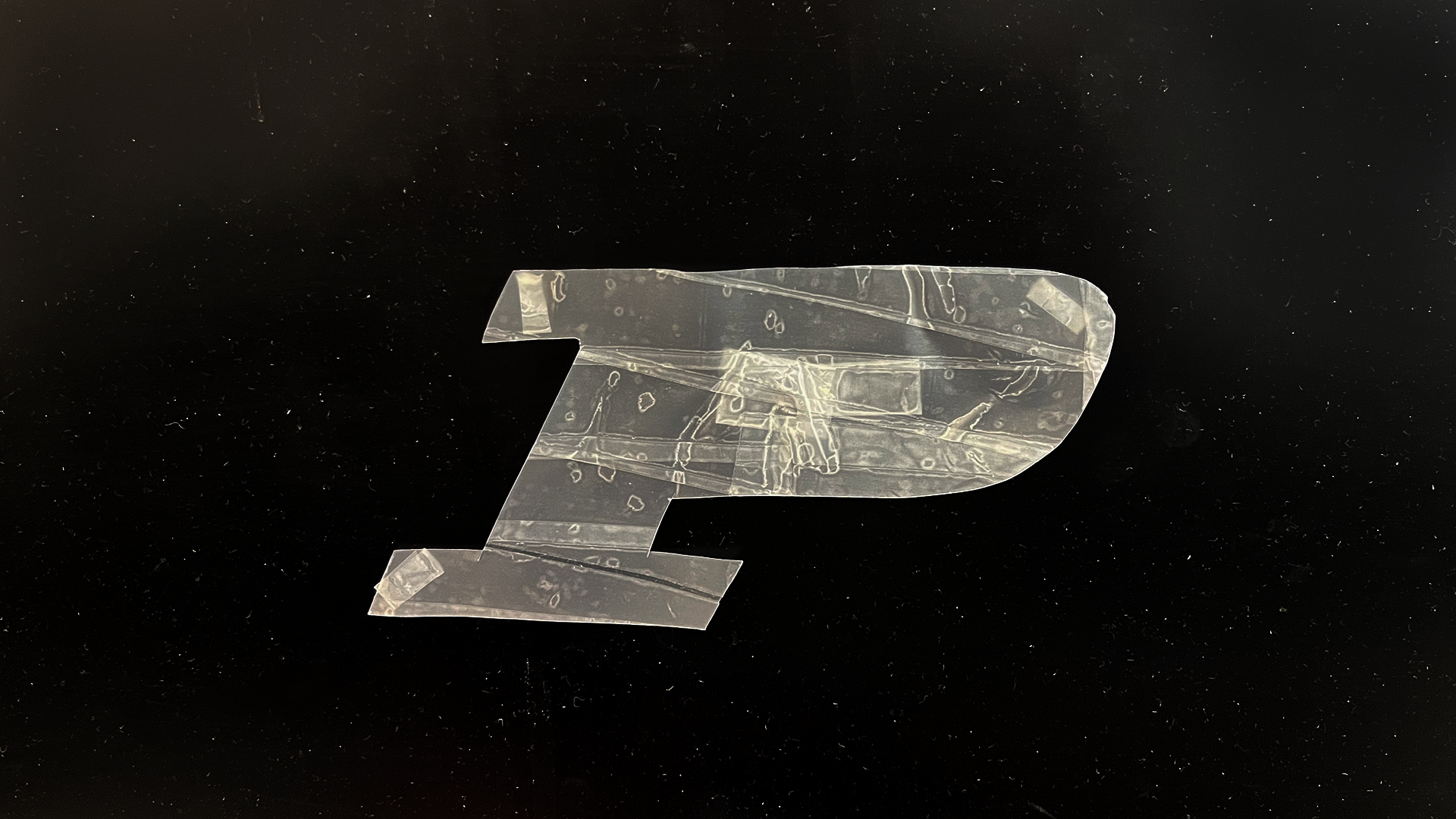 16 - logo texture (Claire).png