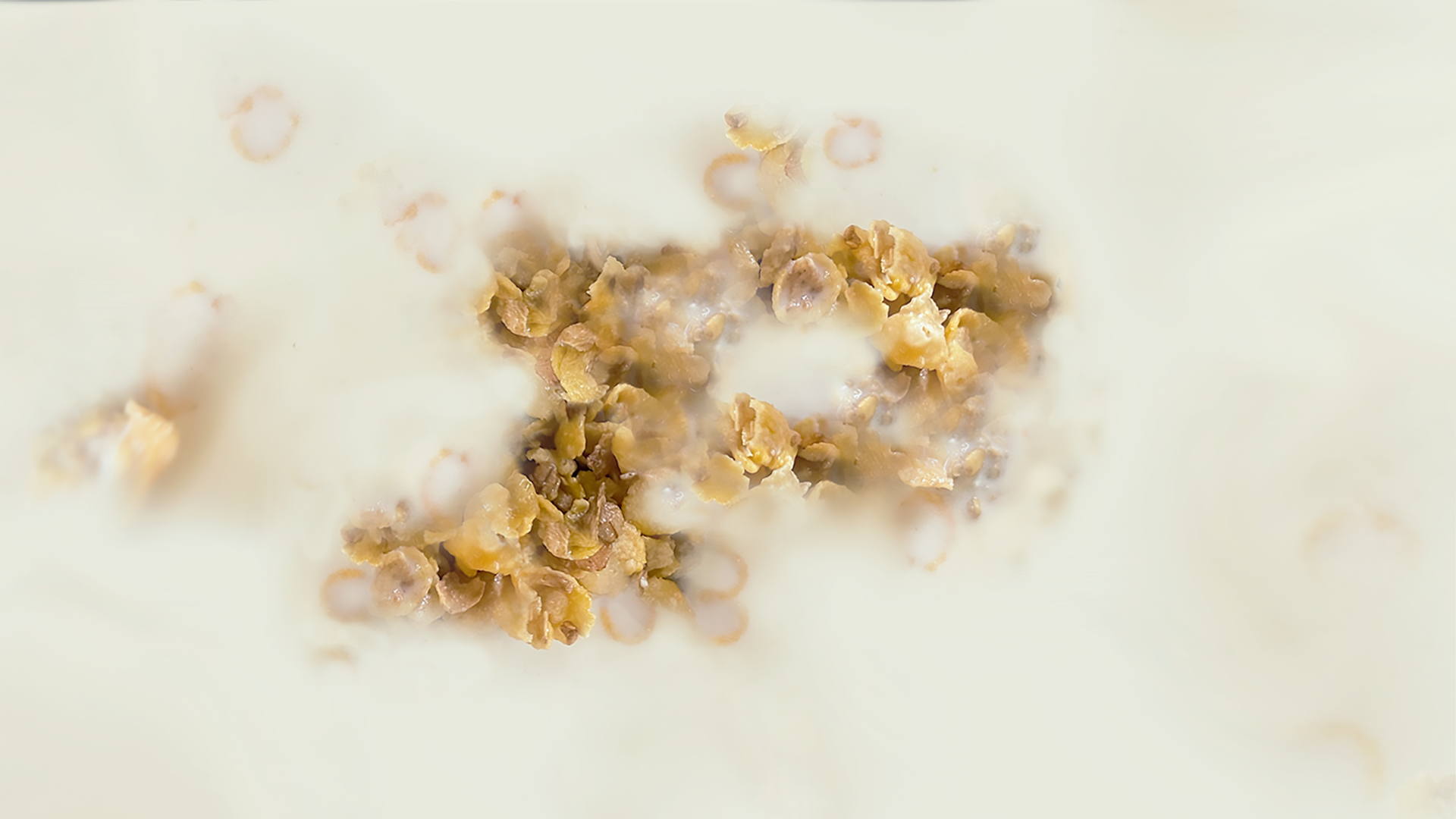 02 - logo texture (Claire).png