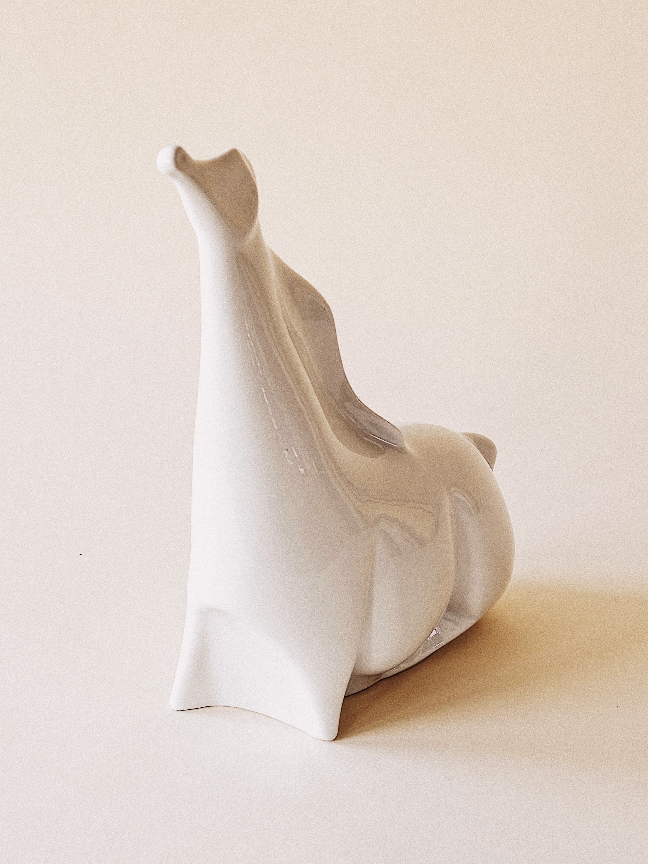 FullSizeRender 4.jpg