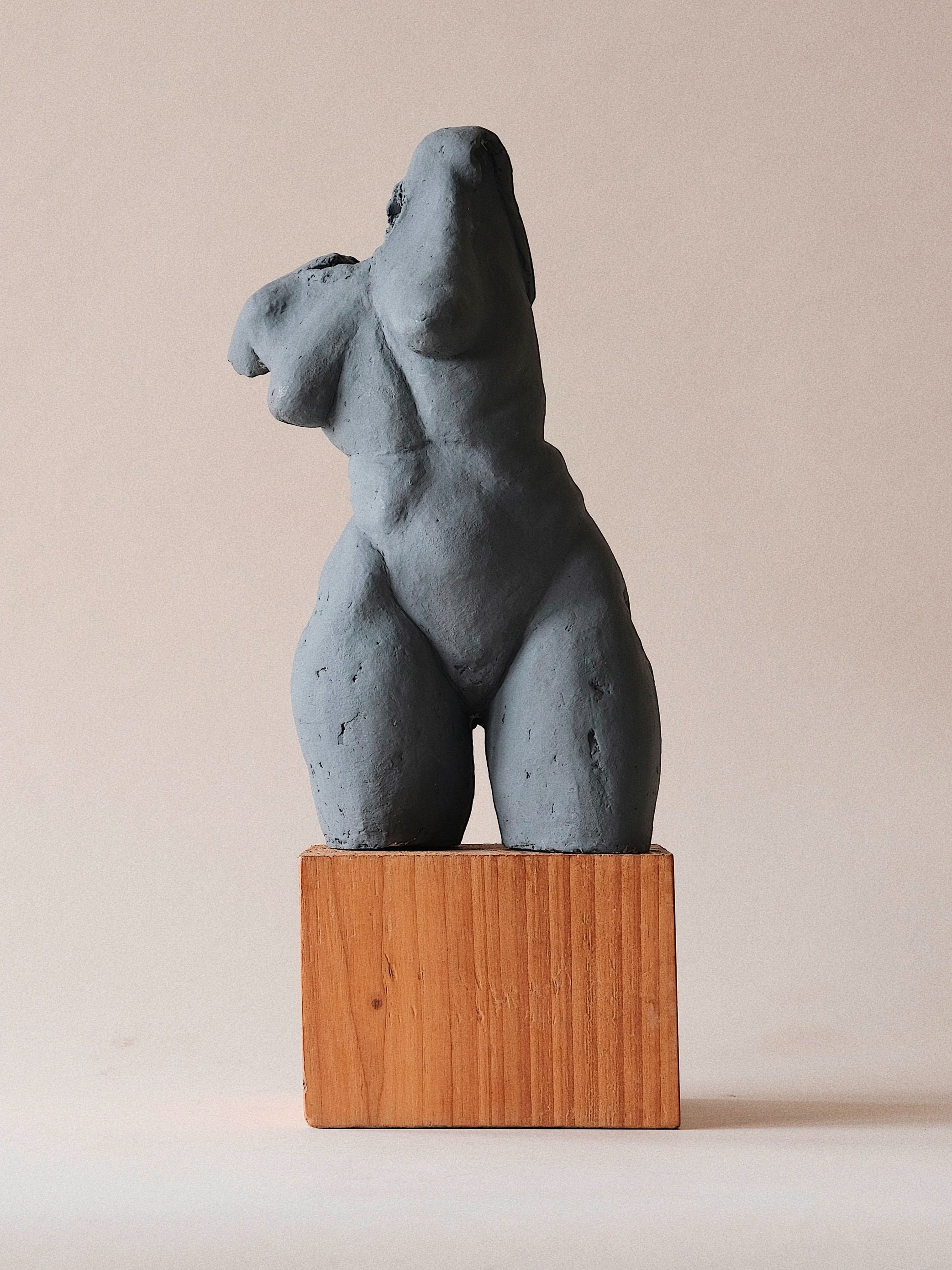 ART+BRUT+TORSO.jpg