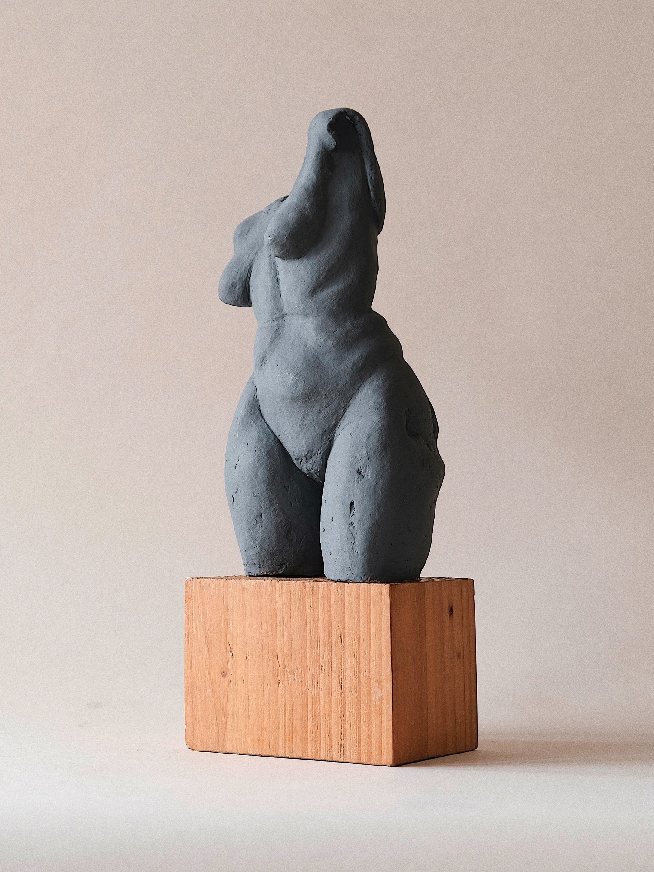 ART+BRUT+TORSO+3.jpg