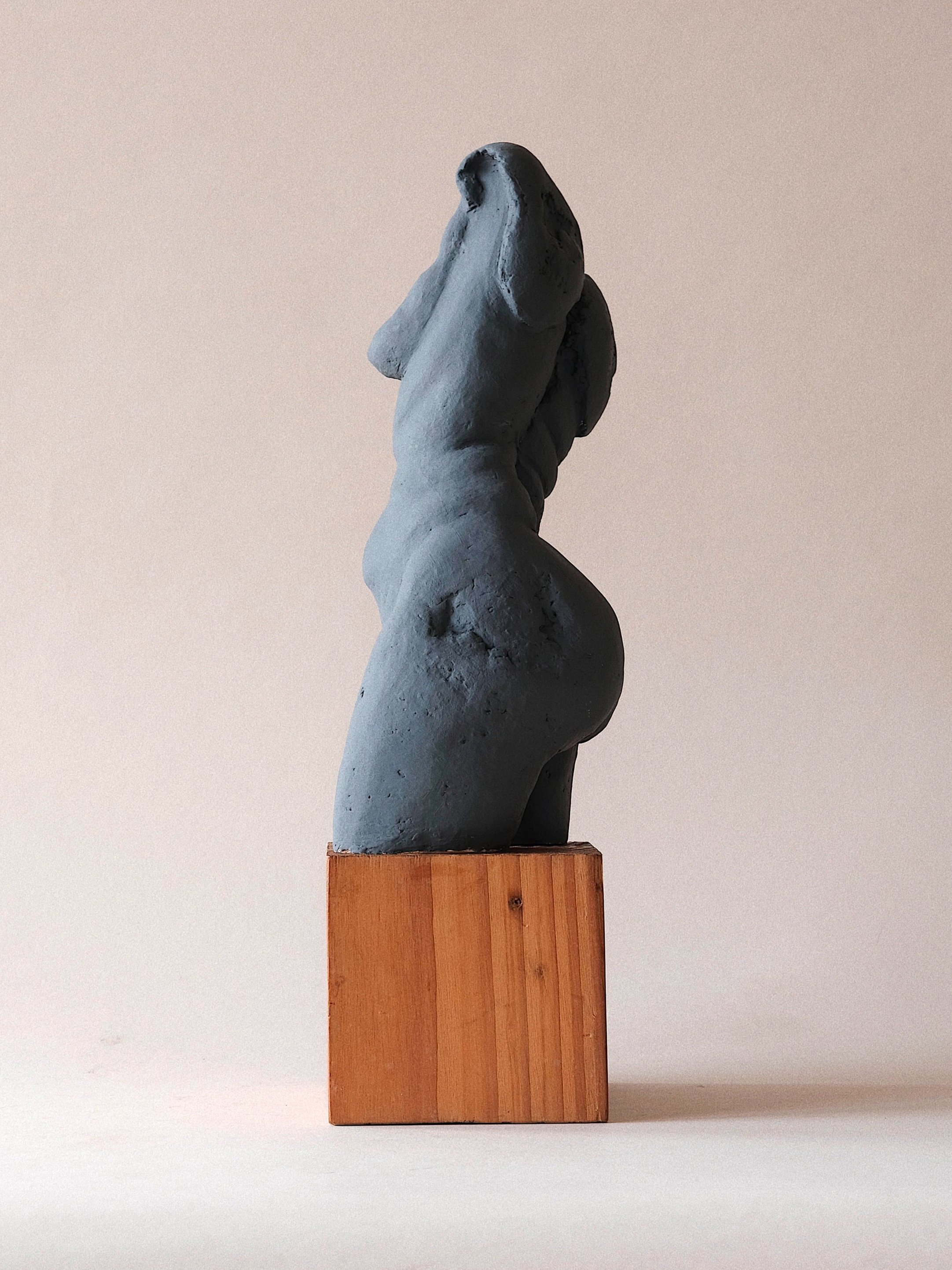 ART+BRUT+TORSO+5.jpg