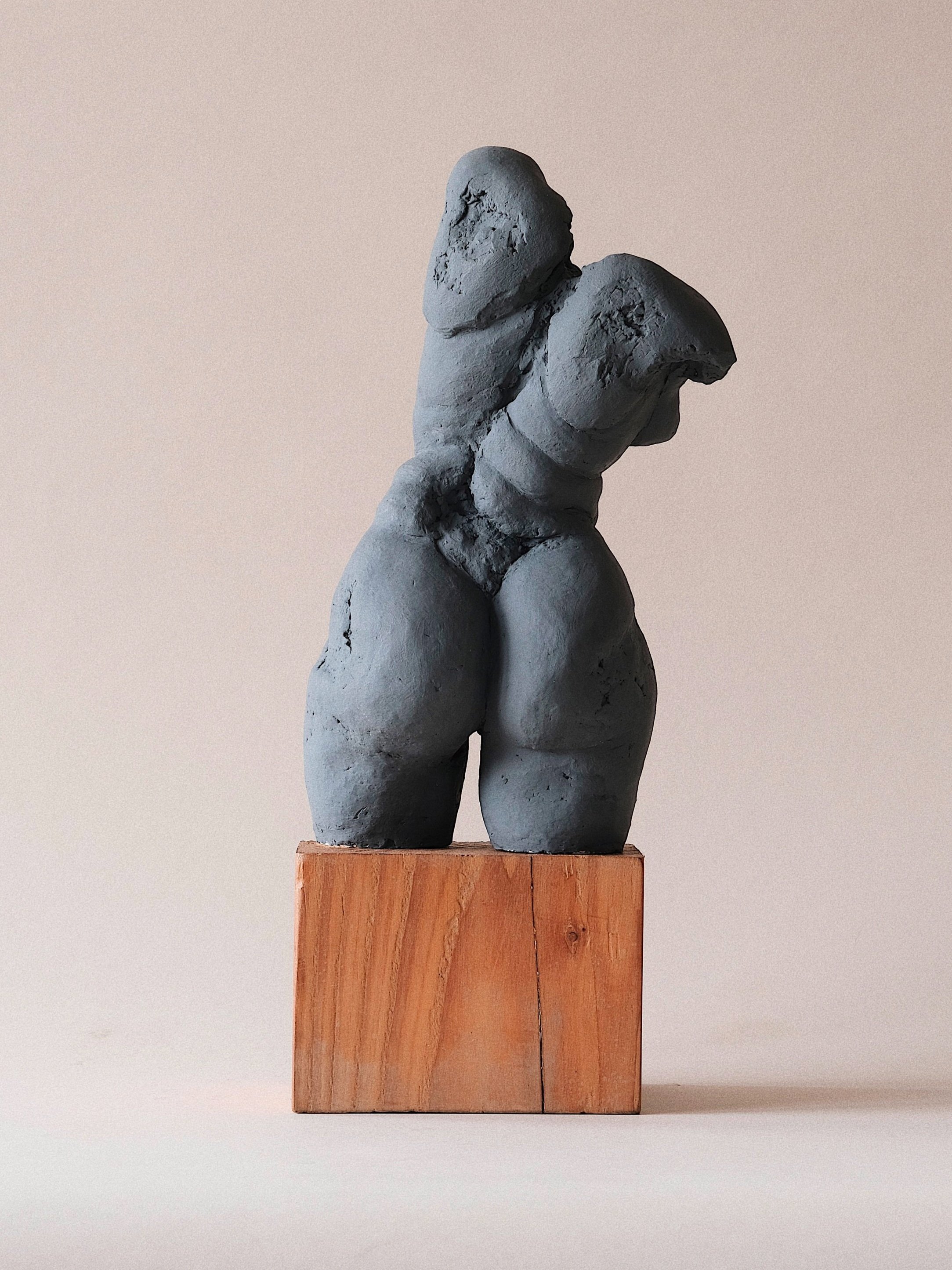 ART+BRUT+TORSO+1.jpg
