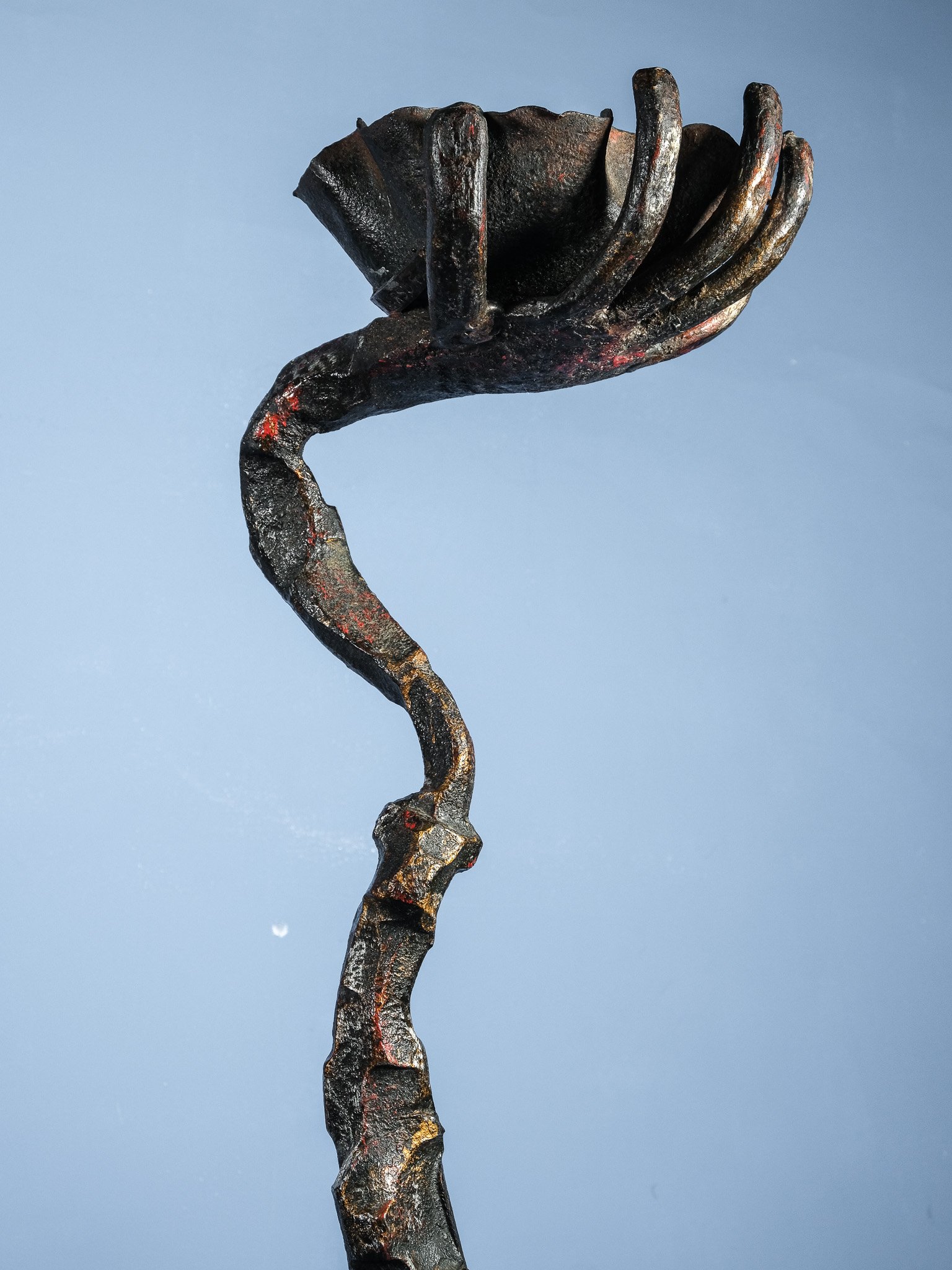 DSCF7350.jpg