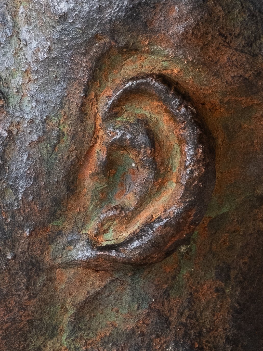 DSCF4592.jpg