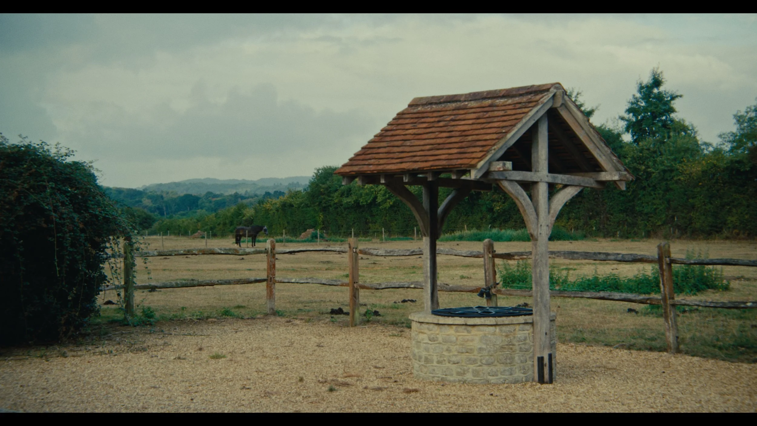 Reined In - Still 2026-03-31 153908_1.9.1.jpg