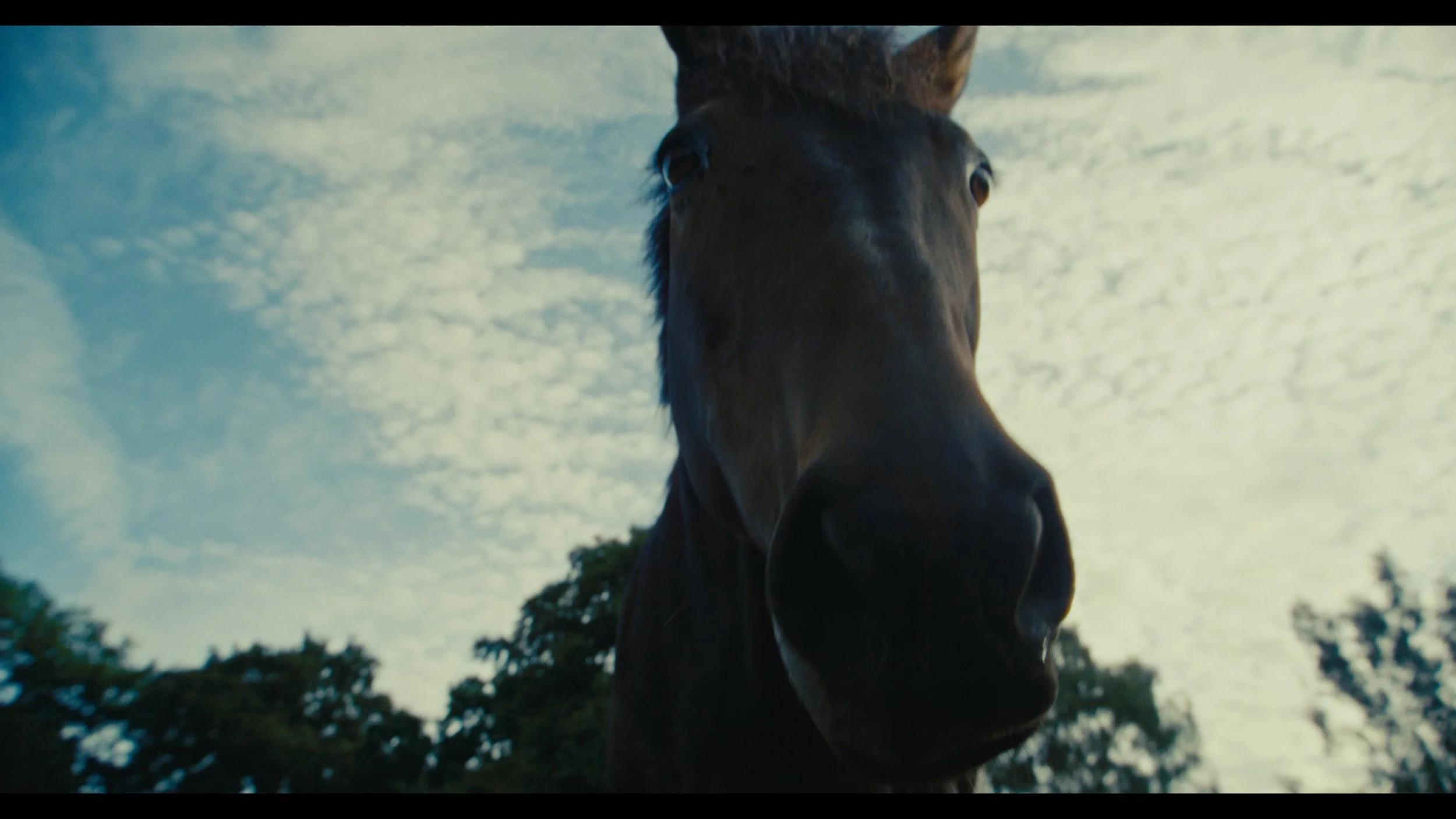 Reined In - Still 2026-03-31 153908_1.10.1.jpg