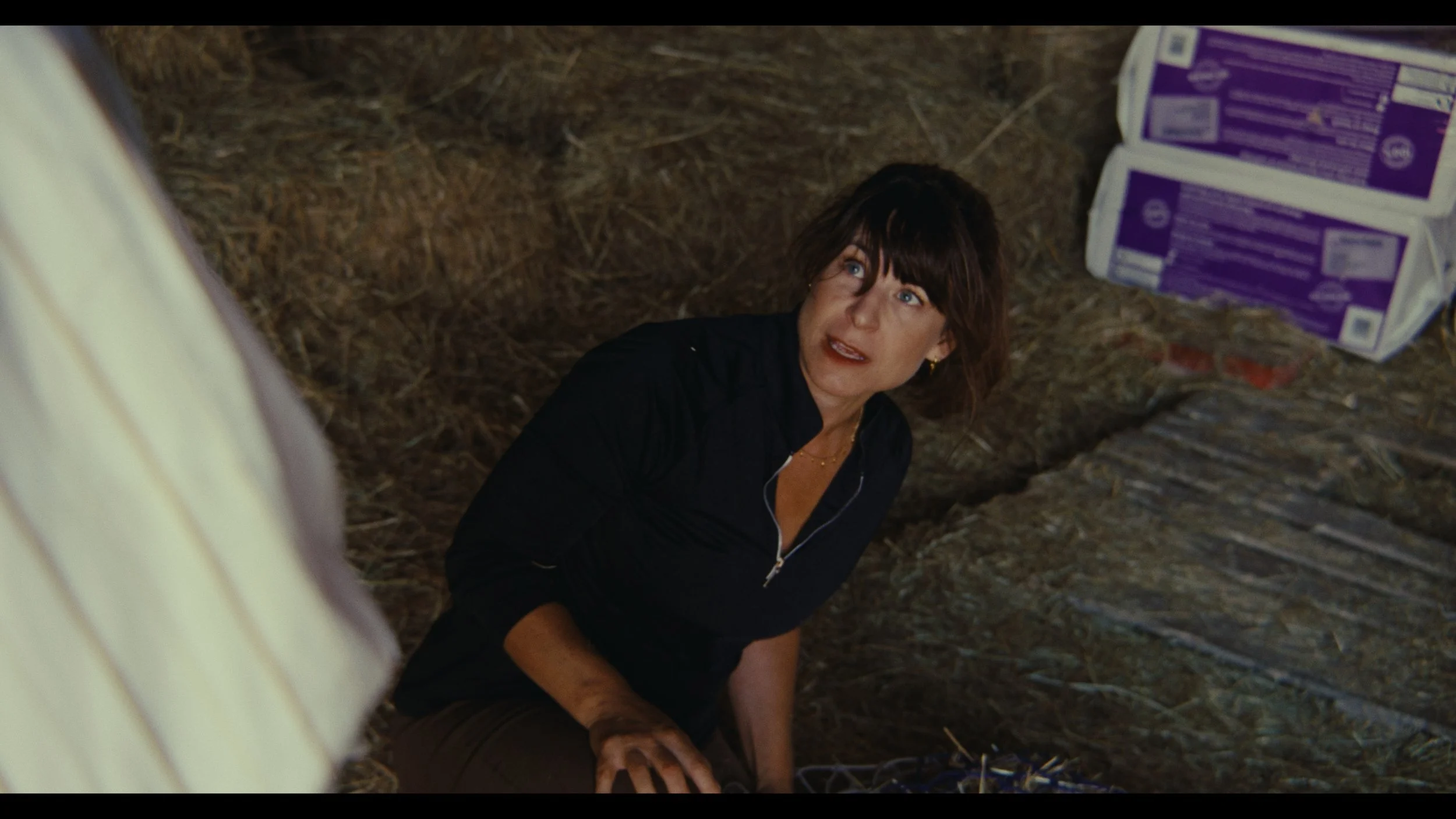 Reined In - Still 2026-03-31 153908_1.82.1.jpg