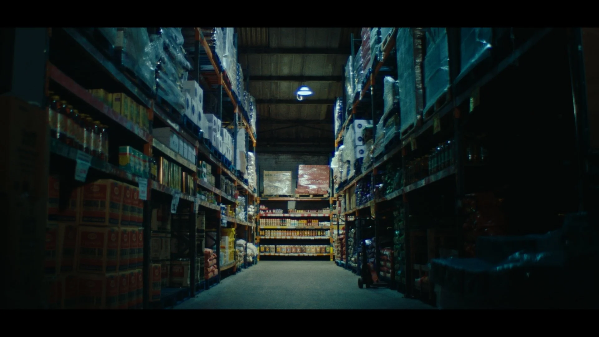 Still 2026-03-31 040107_1.2.1.jpg