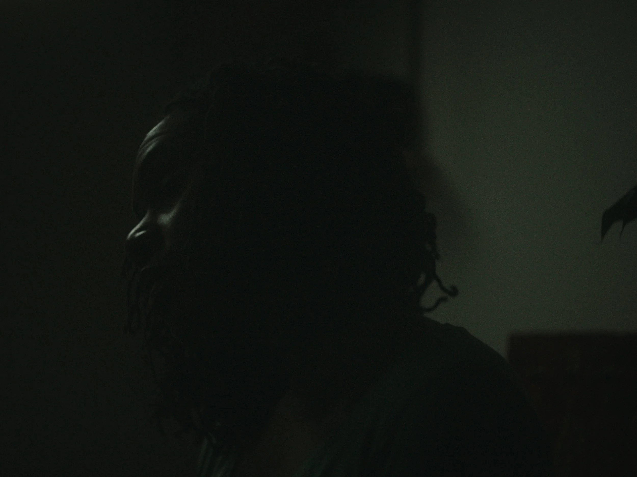 Still 2026-03-16 122036_1.46.1.jpg