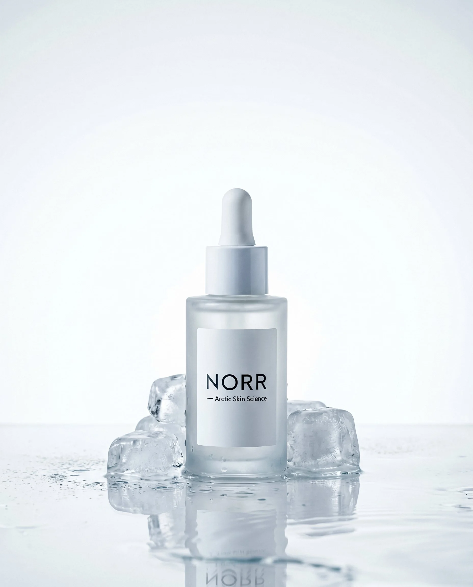 Norr 1.jpg