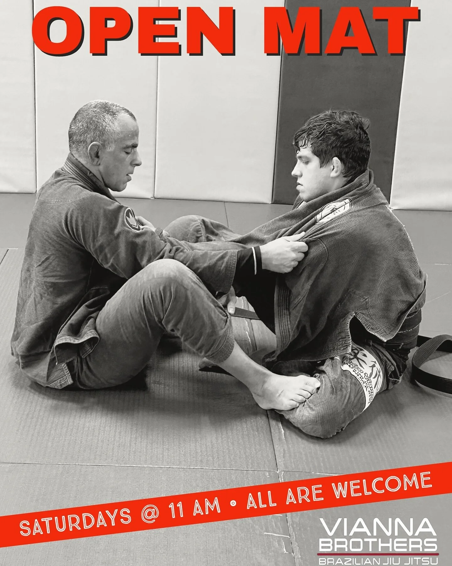 Vianna Brothers Jiu Jitsu