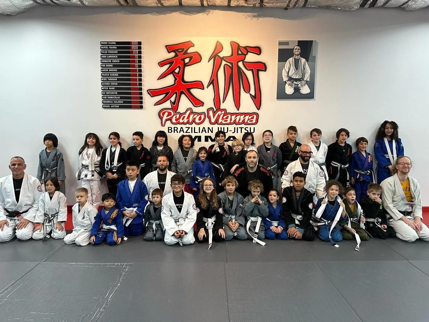 Vianna Brothers Jiu Jitsu