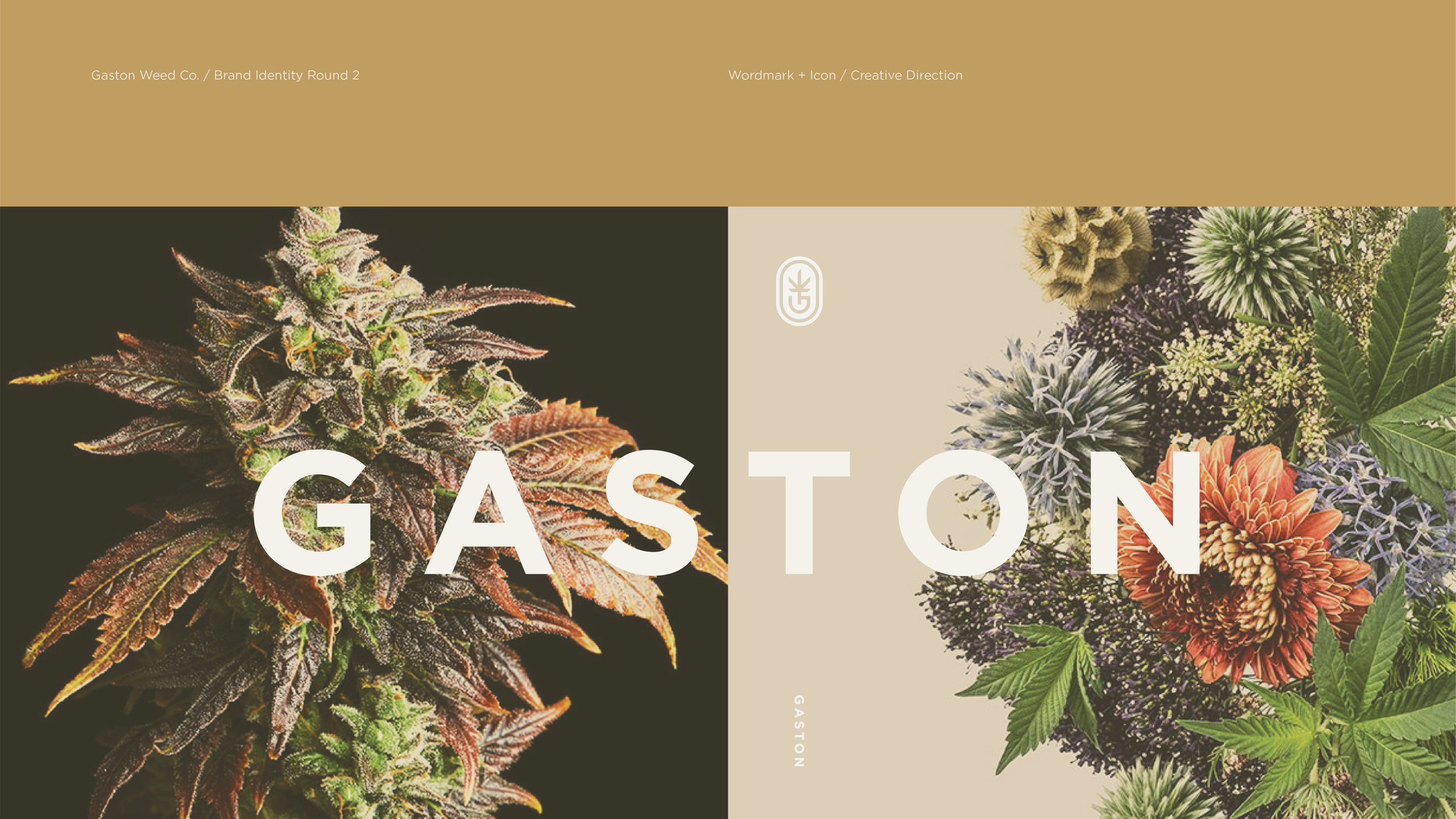 22MH_GastonWeedCo_CD_01.png