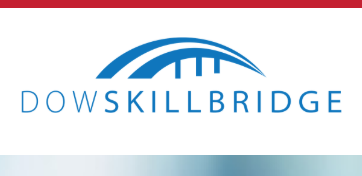 Skillbridge logo