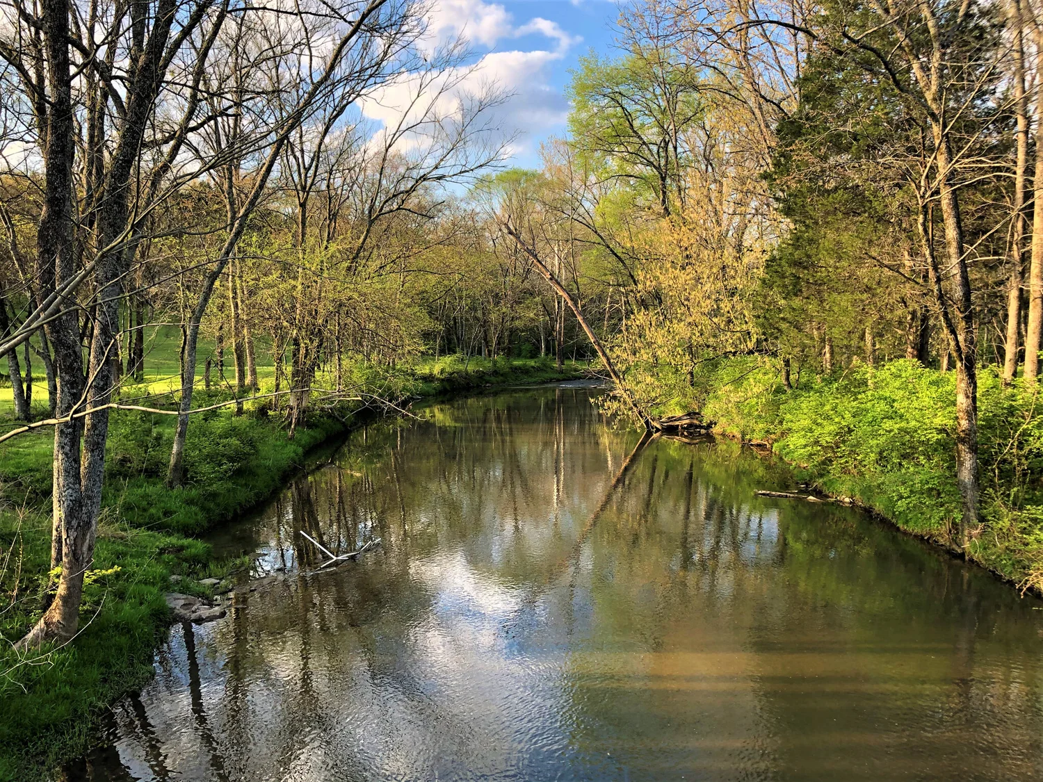 The Watershed — Mill Creek Watershed Association
