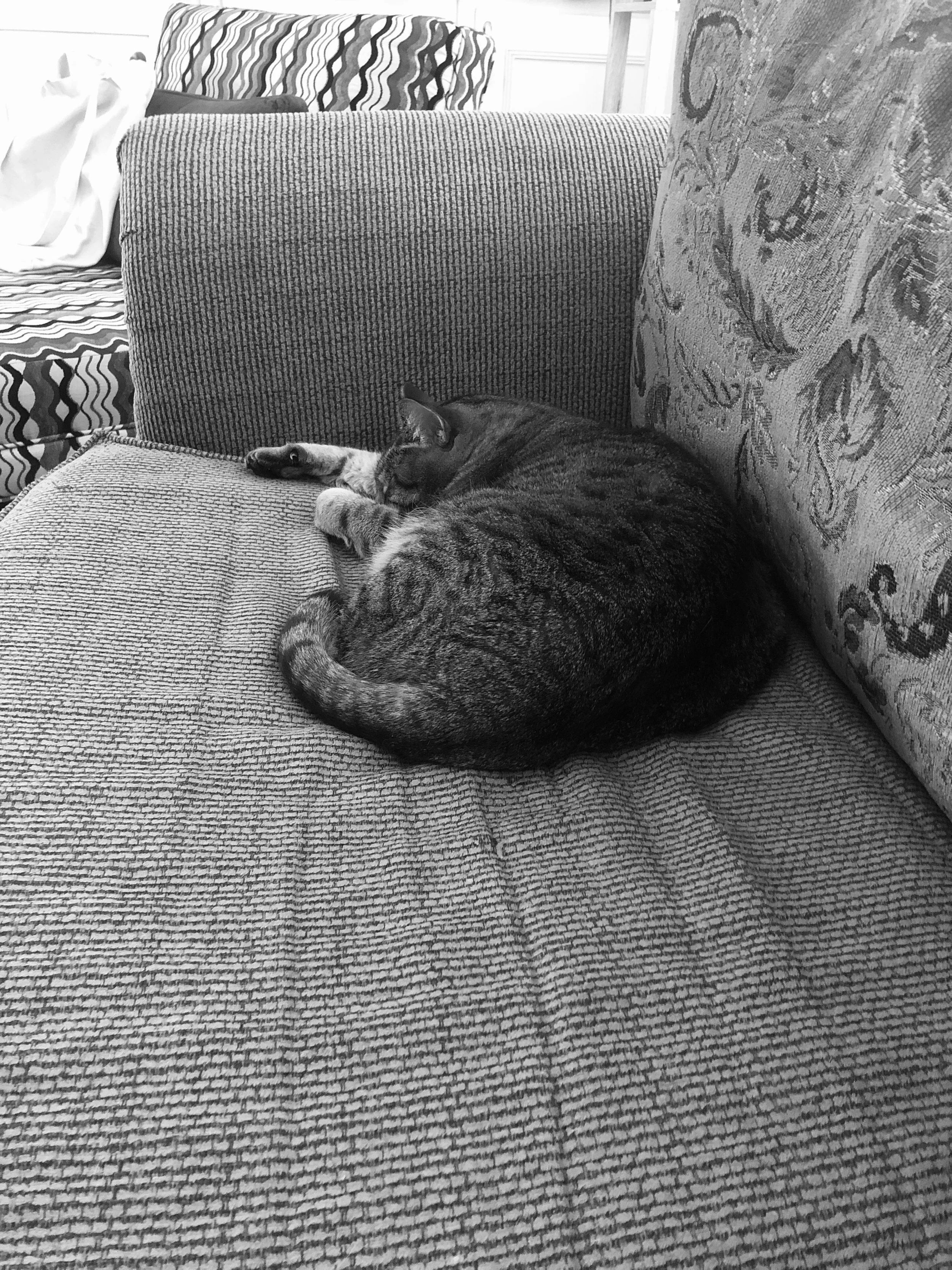 Black and White.jpg