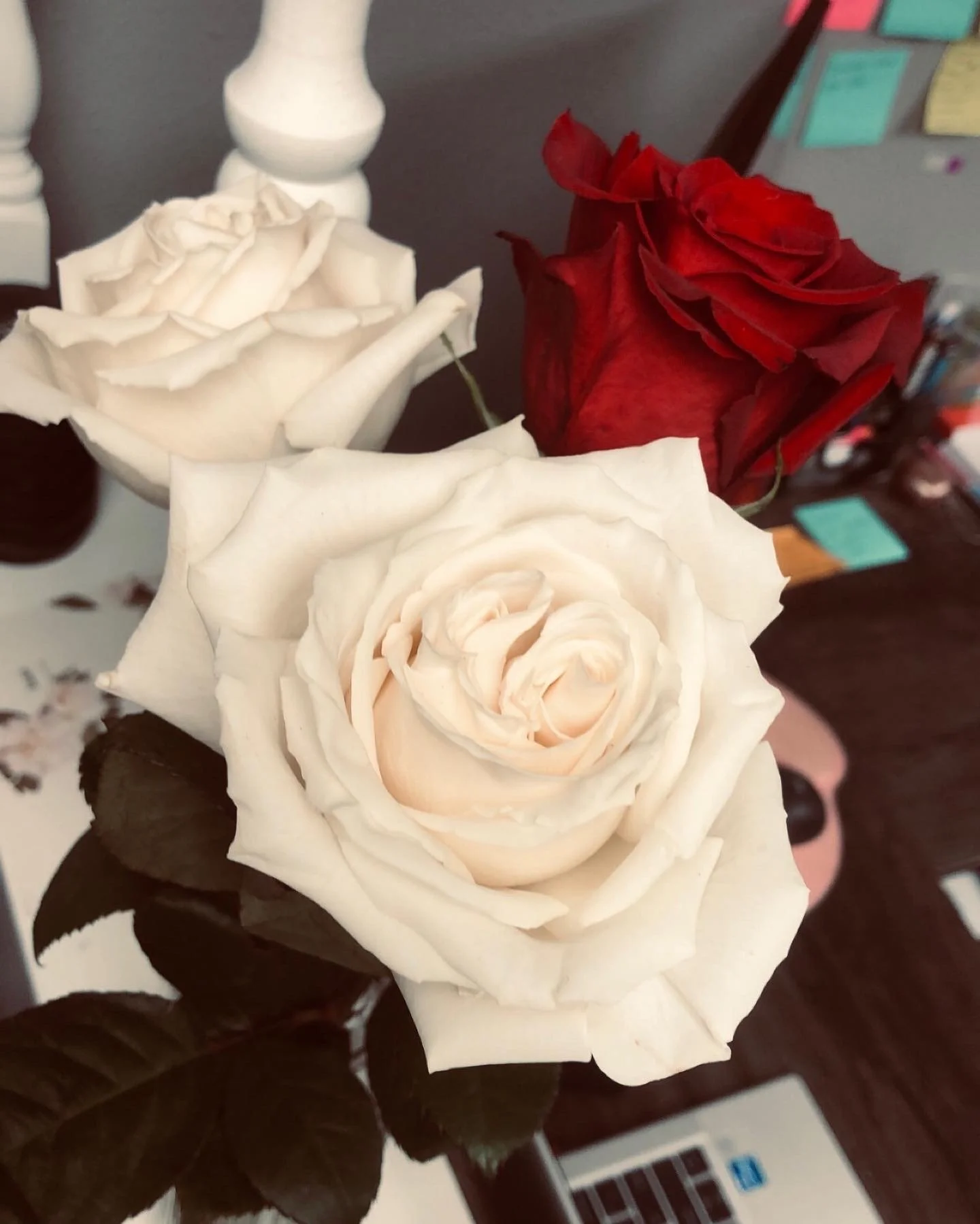 Flowers.JPG