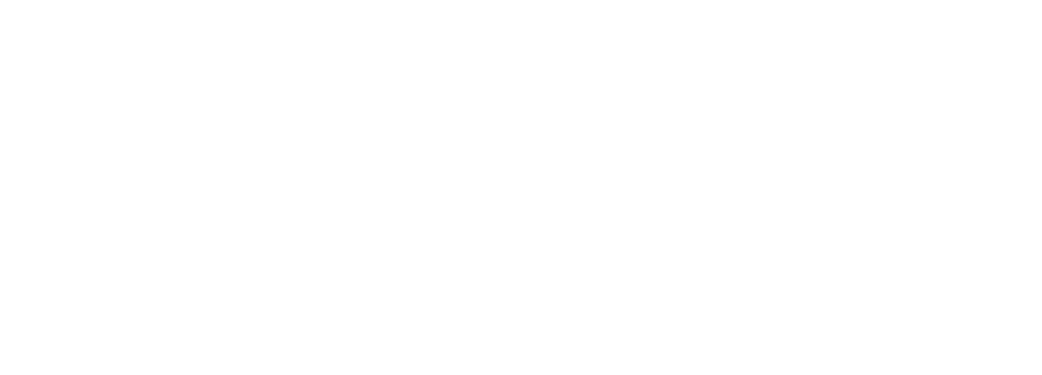 Remington Holt Consulting