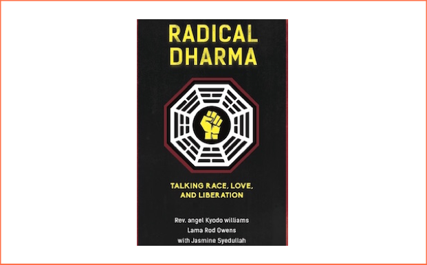 Radical Dharma: Reverend Angel Kyodo Williams