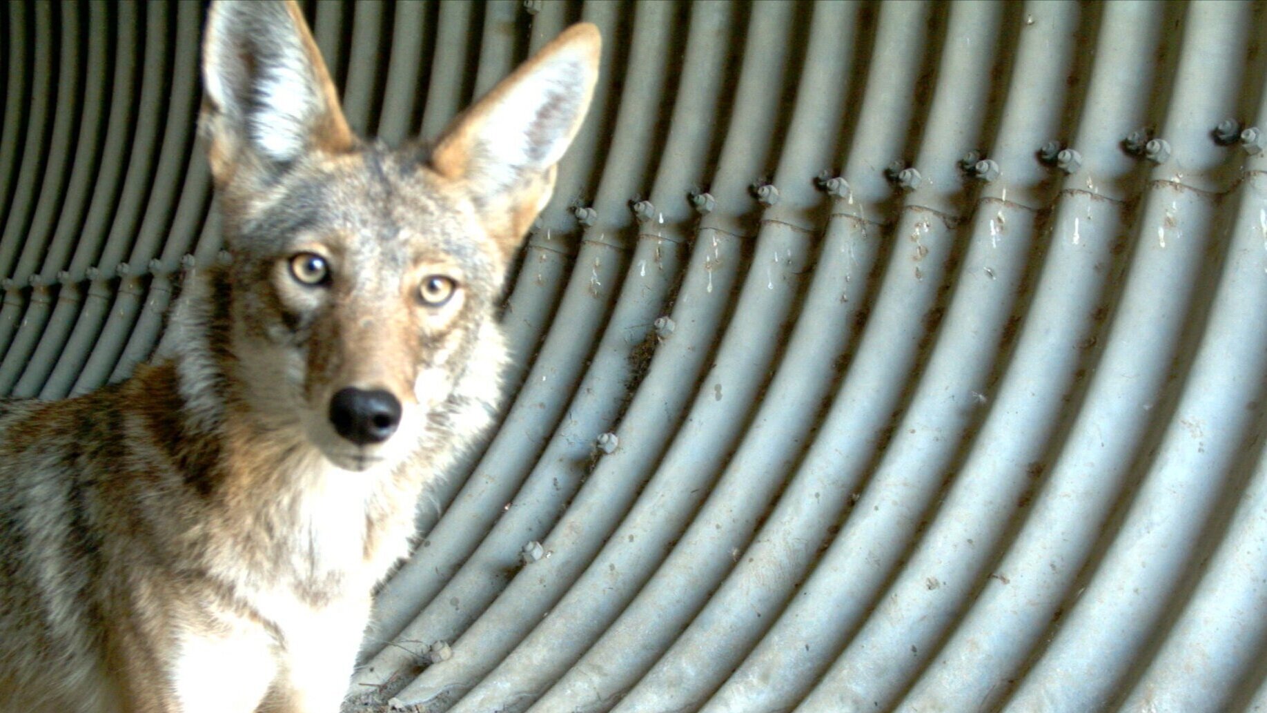  Whatever it is, the way you tell your story online can make all the difference. 