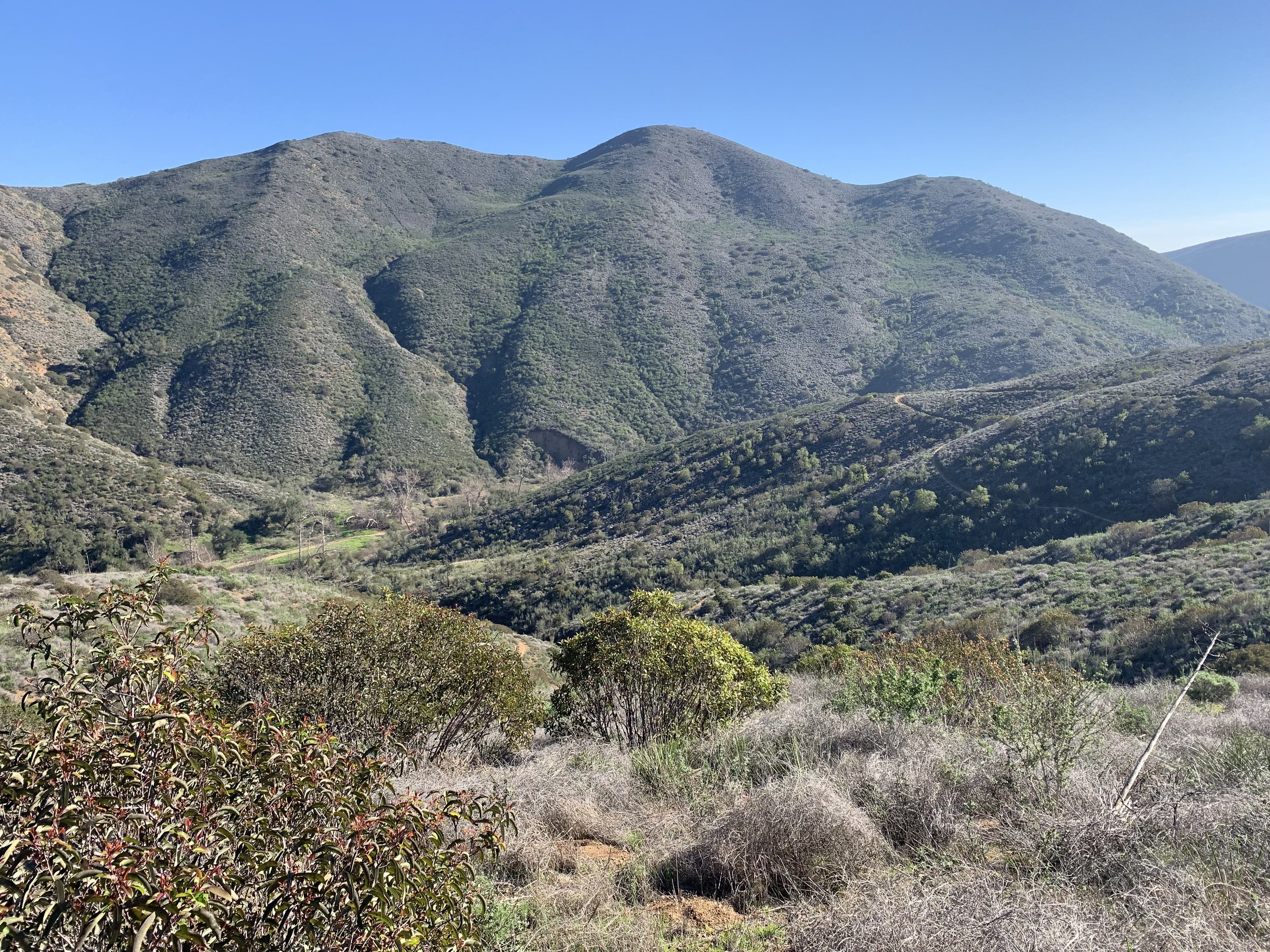 Looking into Sycamore Canyon