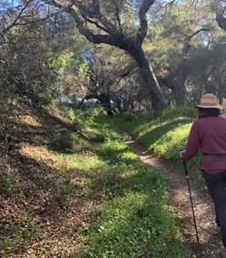  Into the woods… 