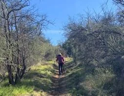  Through the chaparral 