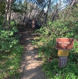  Turning around at Piuma Road 