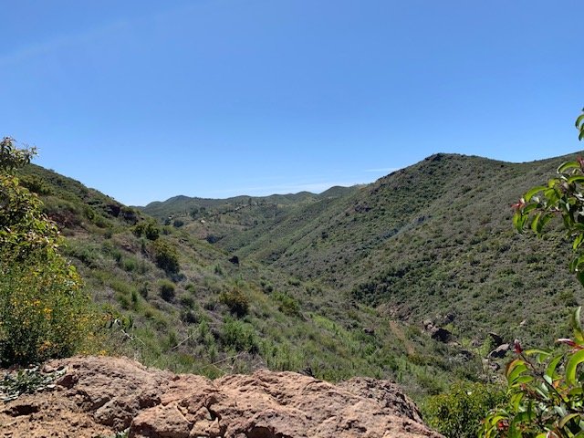 Canyon view between Mulholland and Encinal Canyon