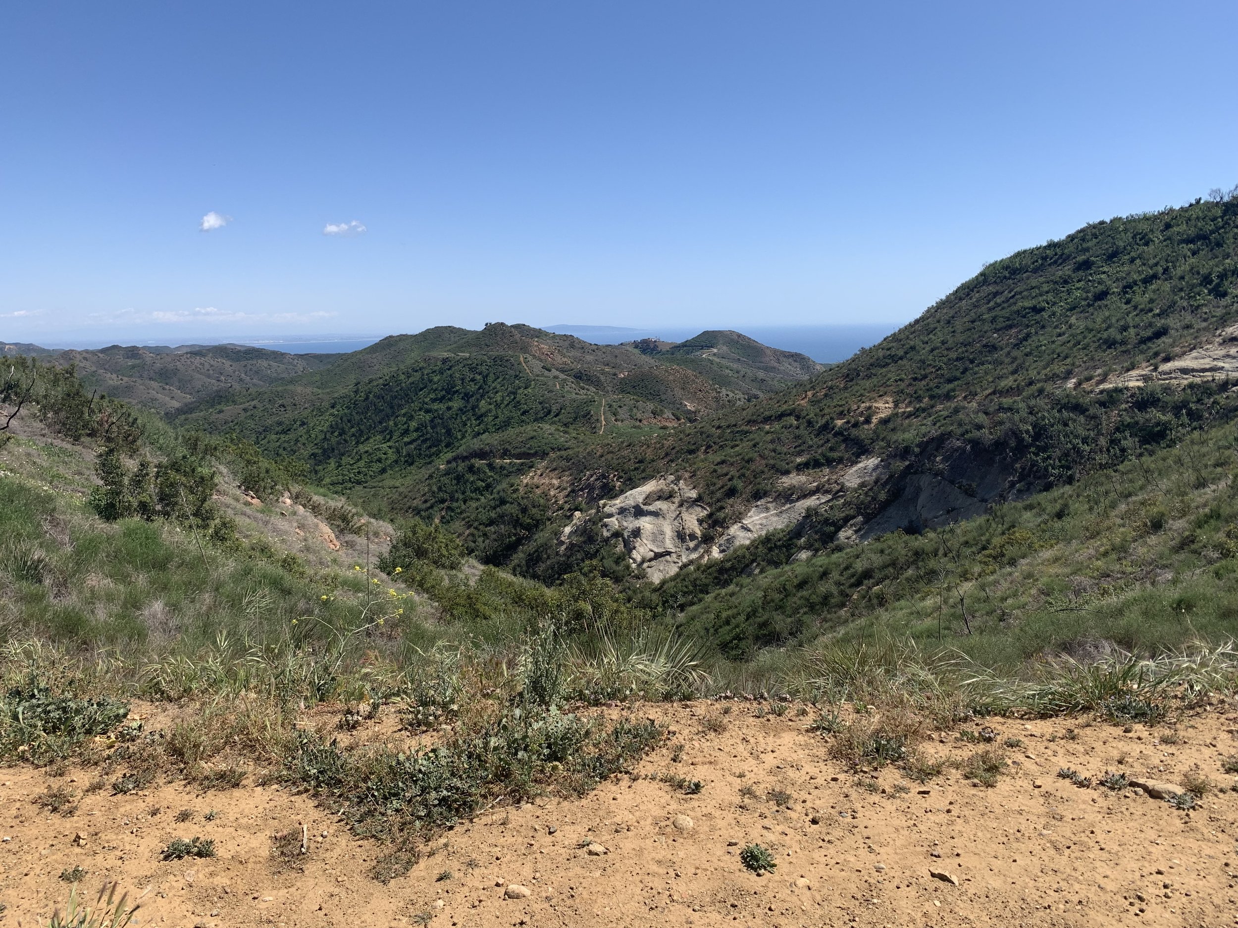 Looking into Solstice Canyon