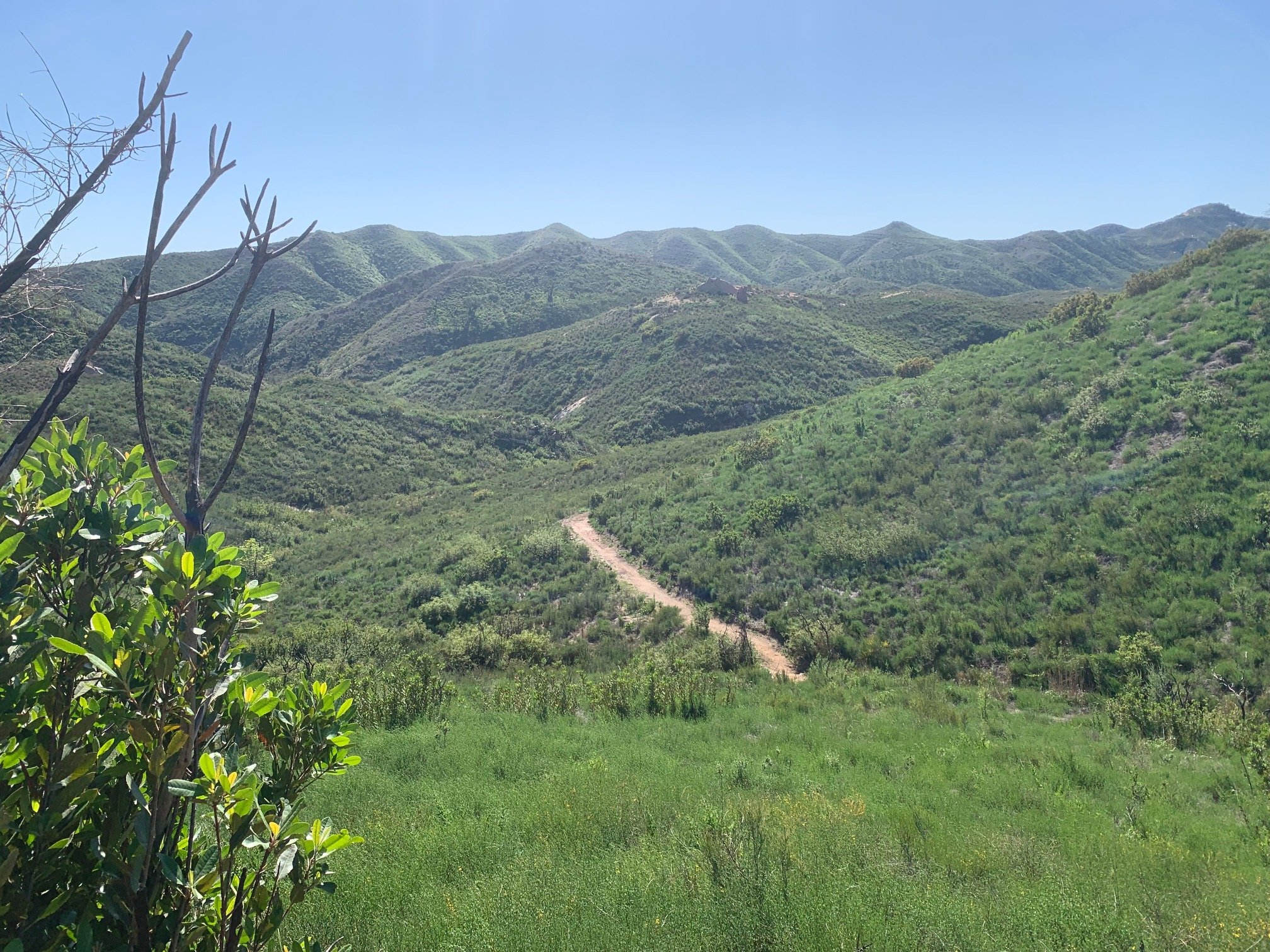 Sycamore Canyon from Corral Canyon Road