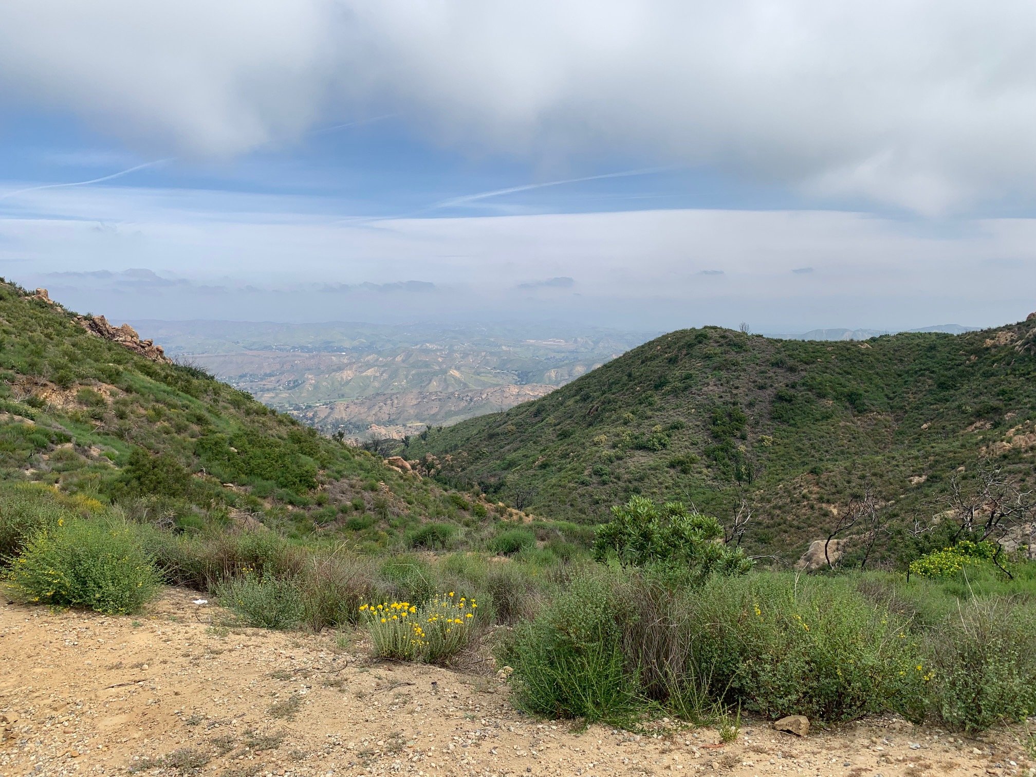 View inland from trailhead