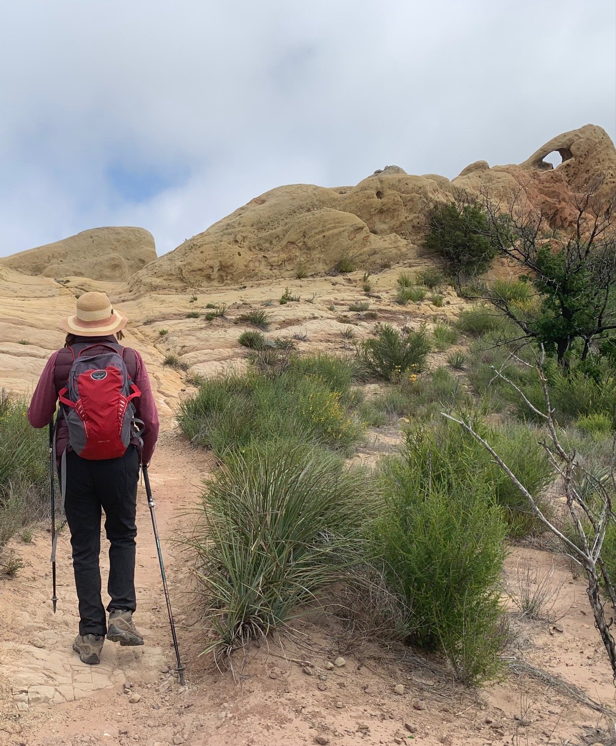 Hiking the backbone trail - Part 7: Corral Canyon trailhead to Malibu Canyon Road