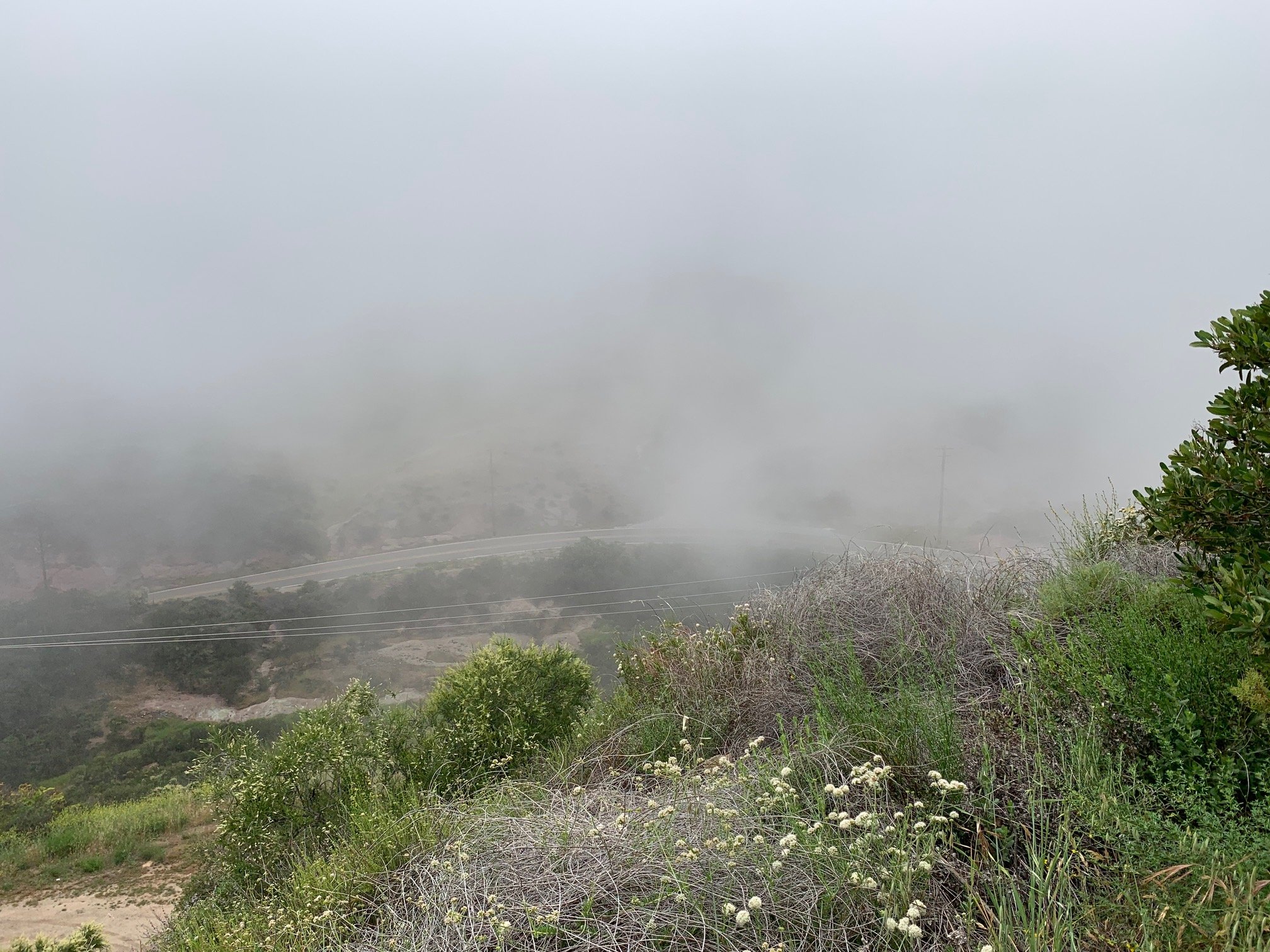 Mist on the mountains