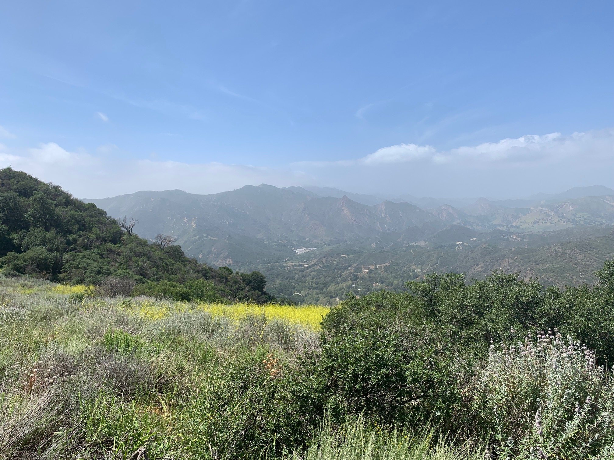 View towards Malibu Canyon