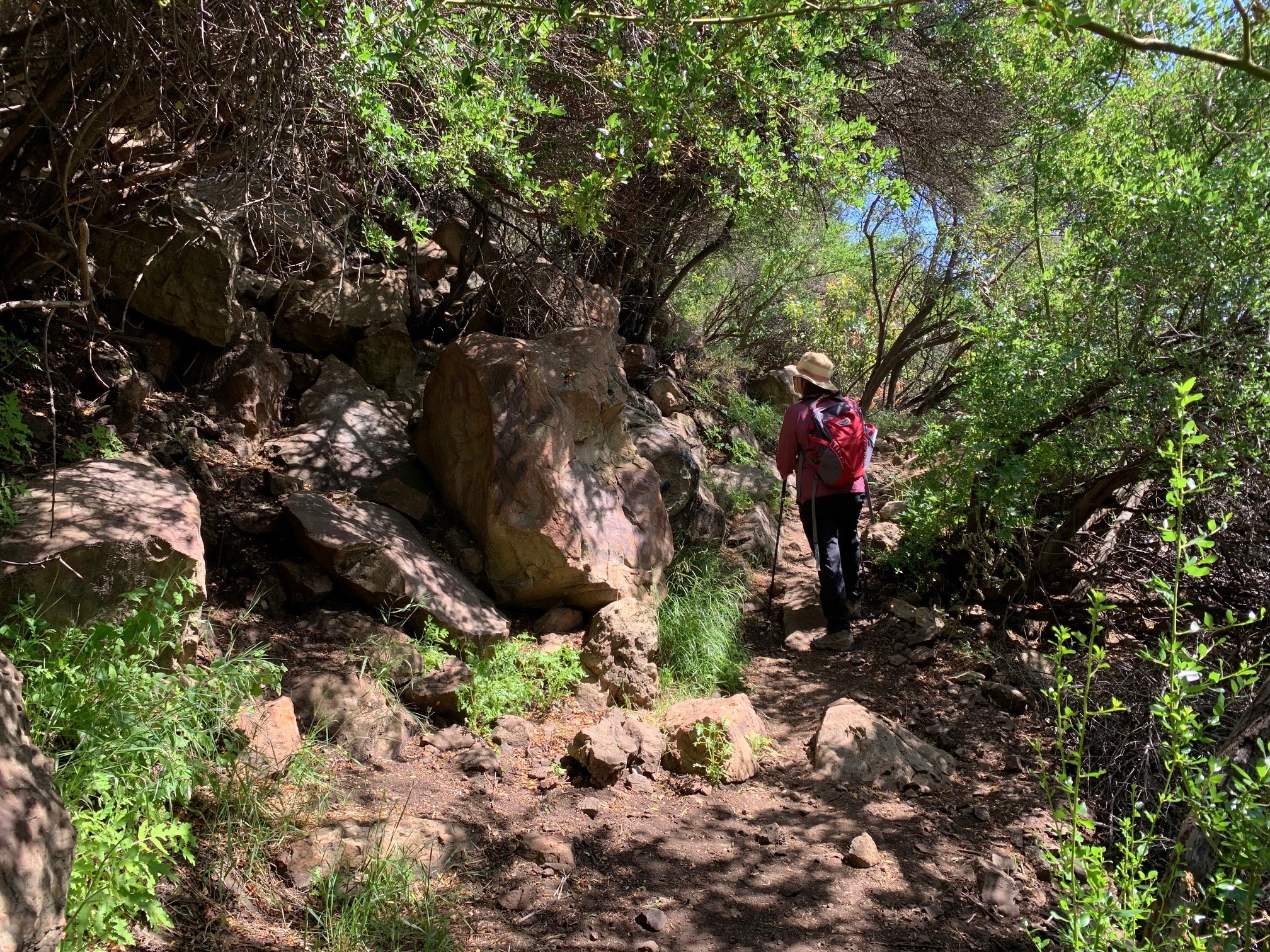 Fossil Ridge Trail