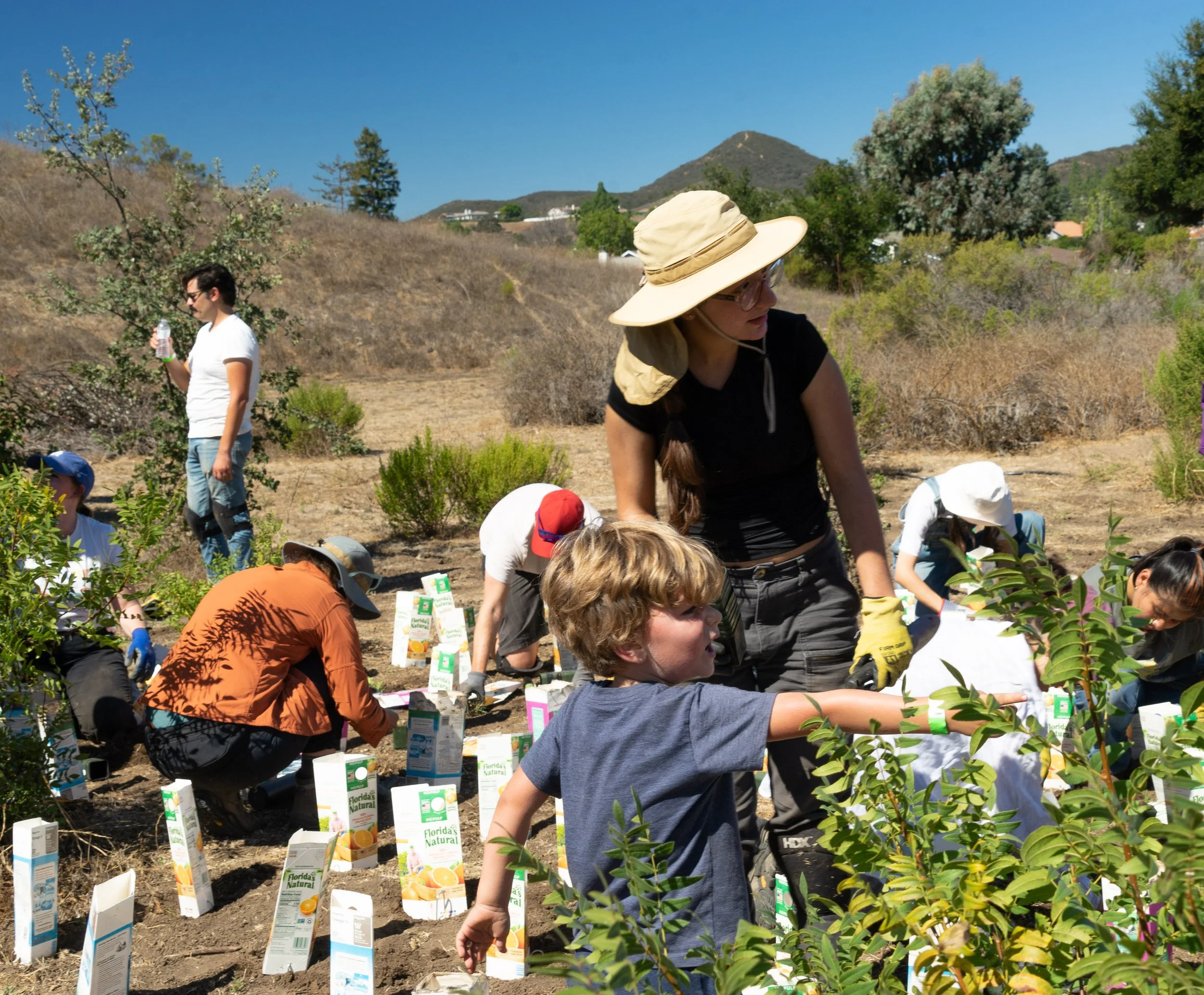 Anyone can help plant! 