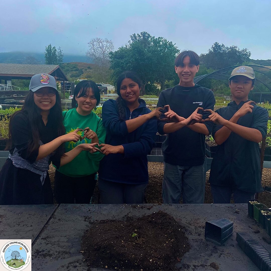 Day 2 OYE summer Volunteers showing some love! We learned how to transplant,and the importance of seed collecting! There are still two dates to come volunteer with us! 6/16, 6/17! Sign up with the QR code in our highlights!