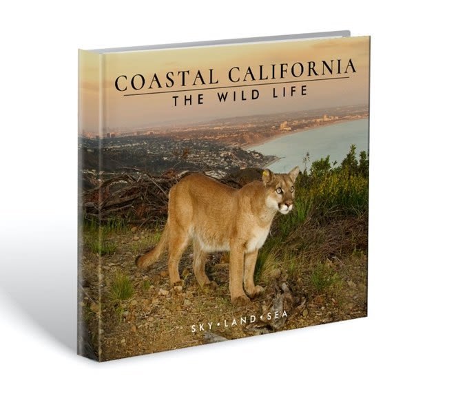 Coastal California.jpeg